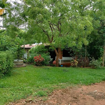 Inn Pondiville Forest Retreat Ποντισερί Εξωτερικό φωτογραφία