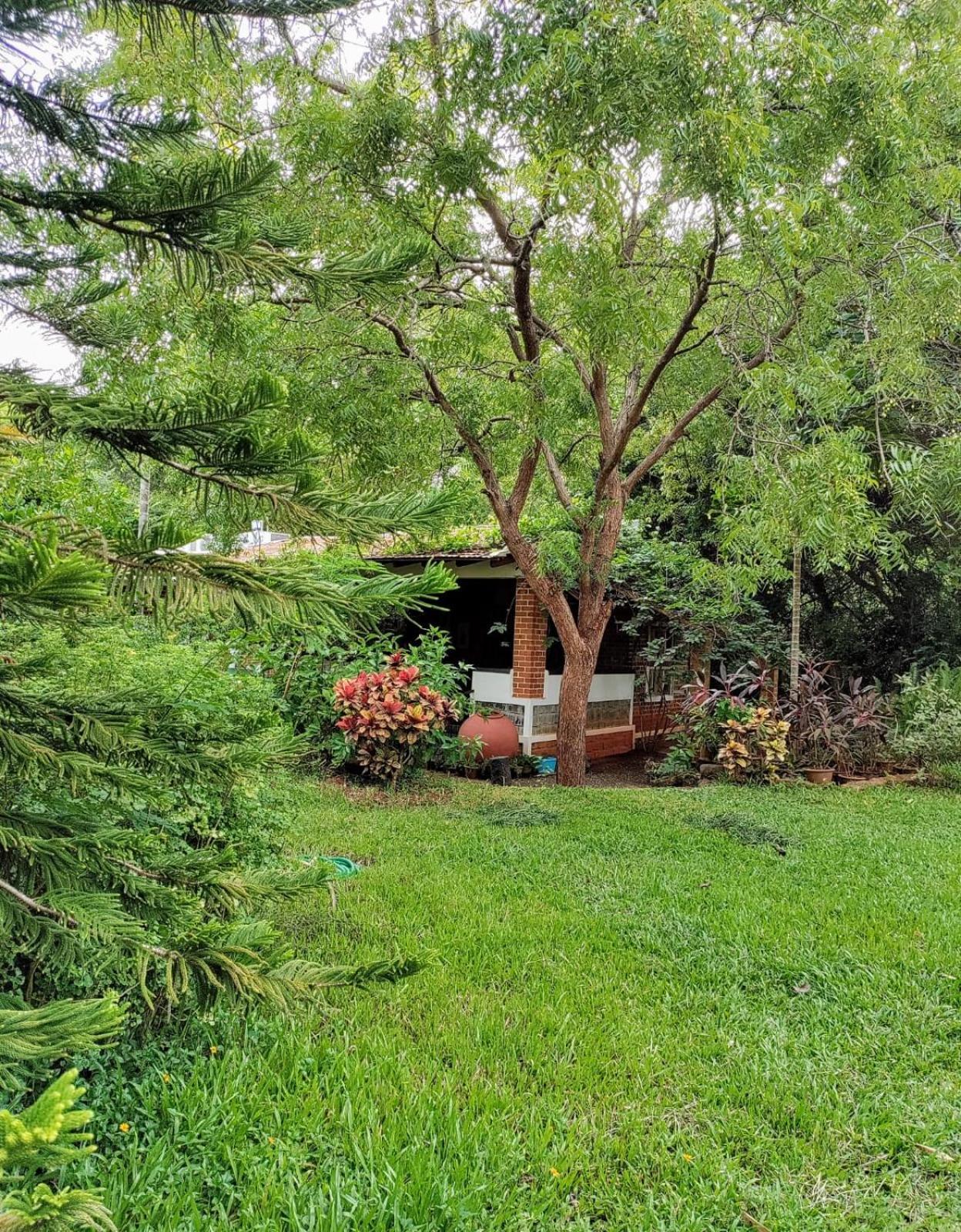 Inn Pondiville Forest Retreat Ποντισερί Εξωτερικό φωτογραφία
