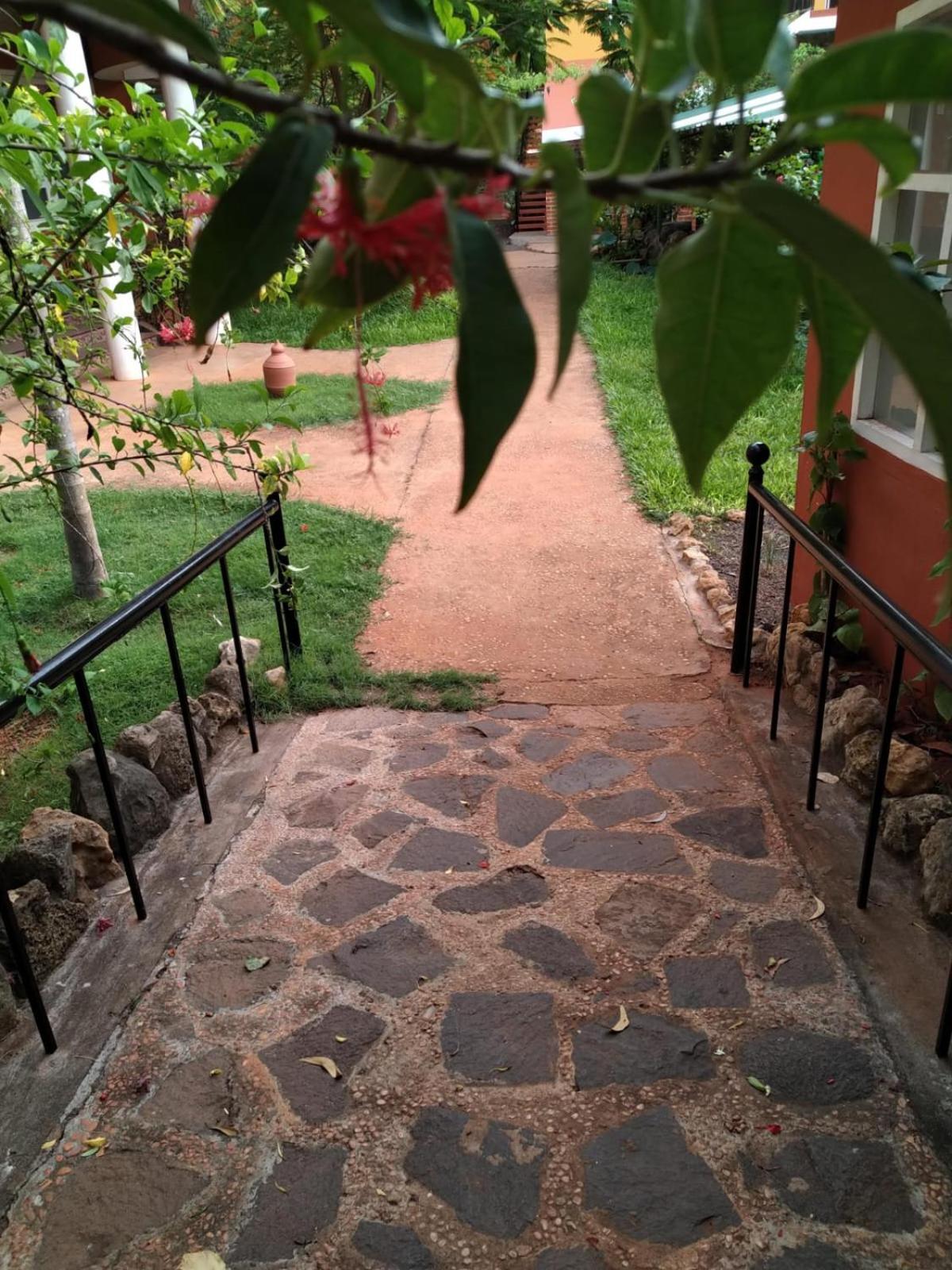 Inn Pondiville Forest Retreat Ποντισερί Εξωτερικό φωτογραφία