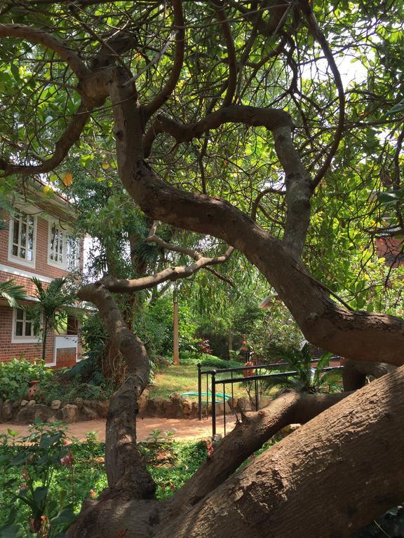 Inn Pondiville Forest Retreat Ποντισερί Εξωτερικό φωτογραφία