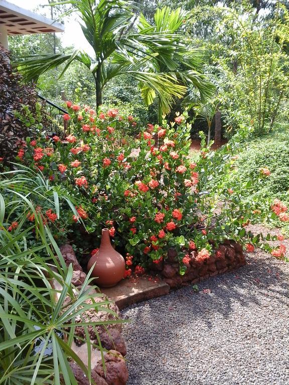 Inn Pondiville Forest Retreat Ποντισερί Εξωτερικό φωτογραφία